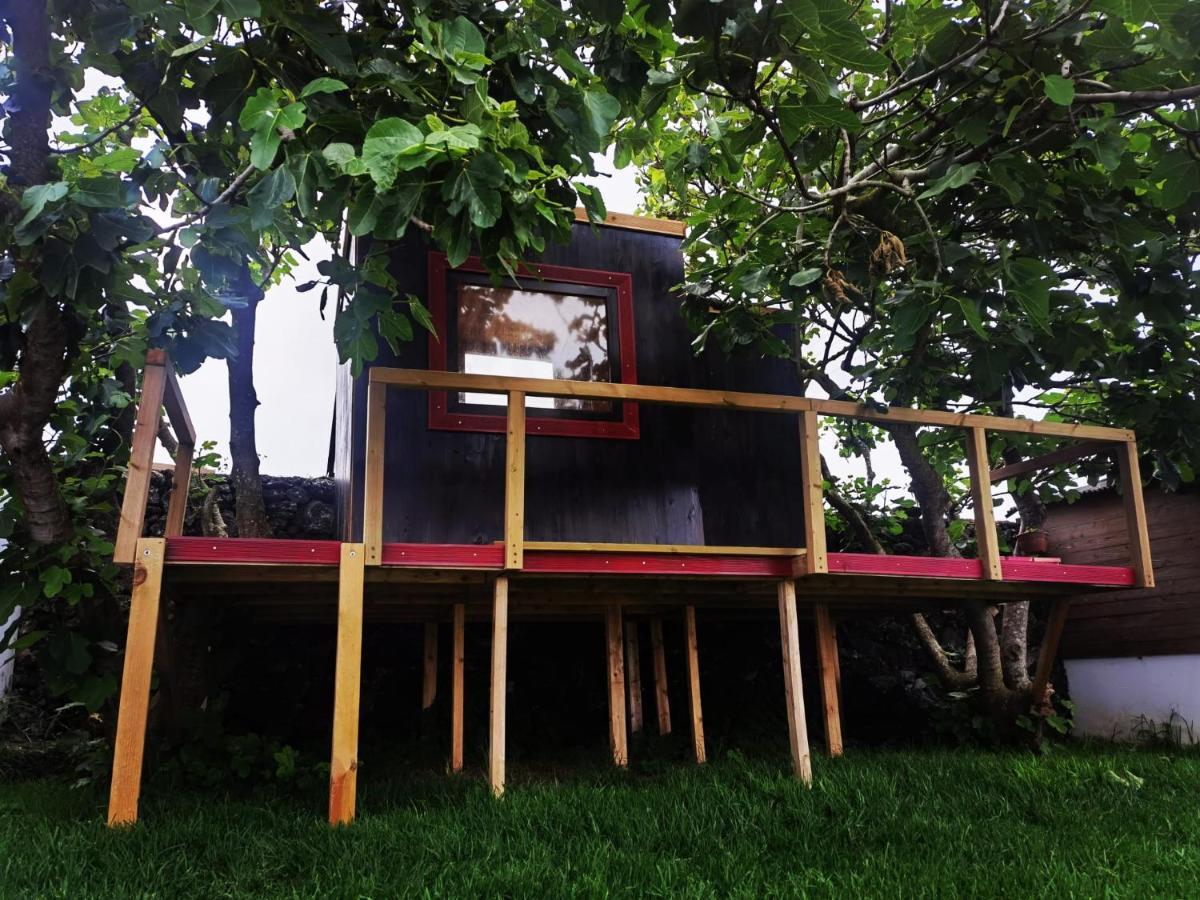 Azores Cow House Calhetas 外观 照片